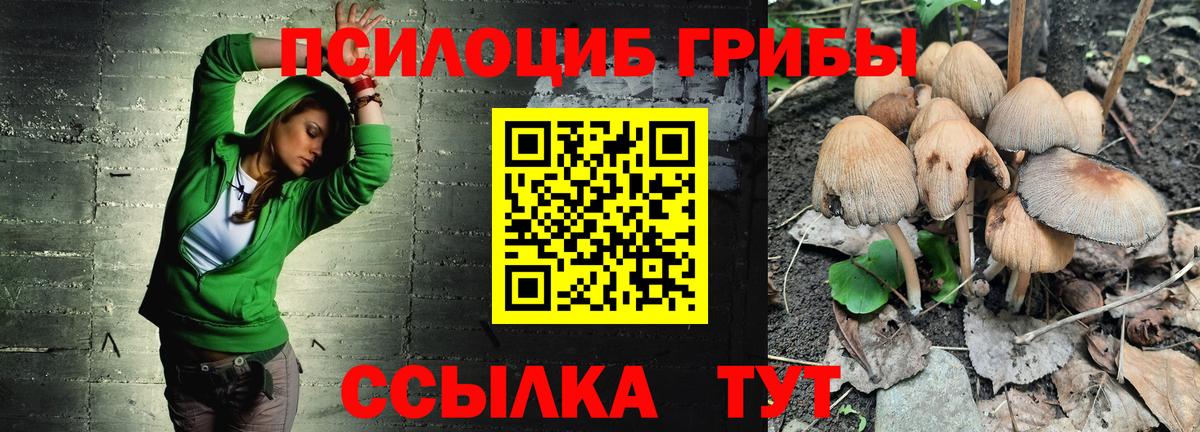 Галлюциногенные грибы прущие грибы Великий Новгород