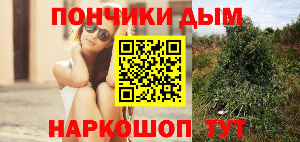 МАРИХУАНА сатива Великий Новгород